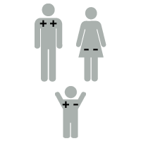 Illustration of Rh factor: baby is +-Rh positive