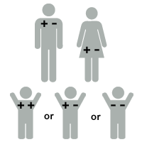 Illustration of Rh factor: baby is +-Rh positive