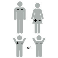 Illustration of Rh factor: baby is +-Rh positive